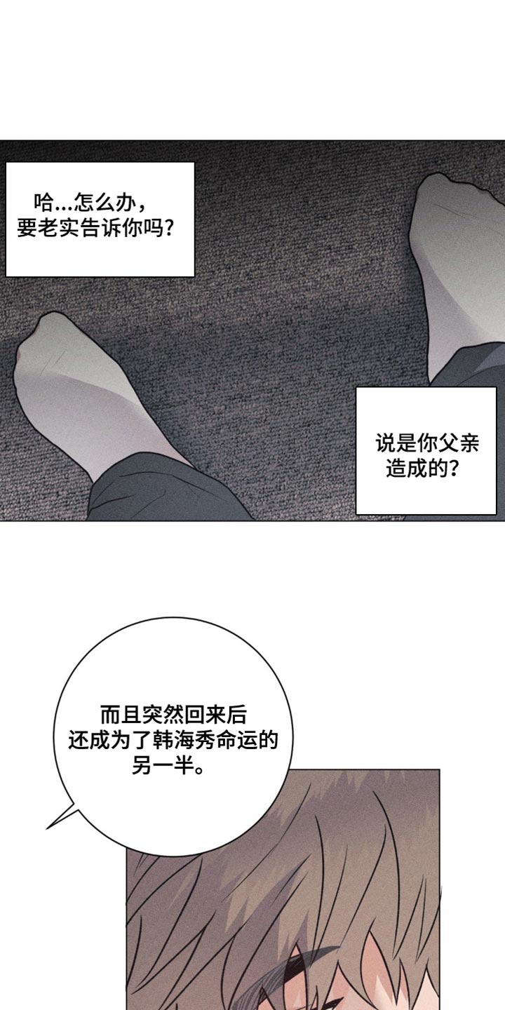 迟来的伴侣