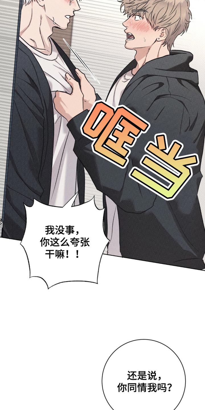 迟来的伴侣