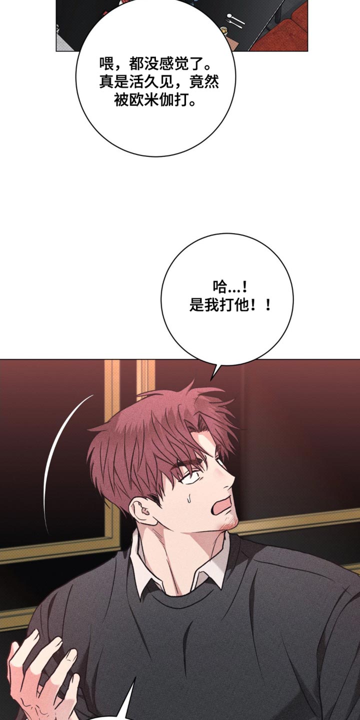 迟来的伴侣