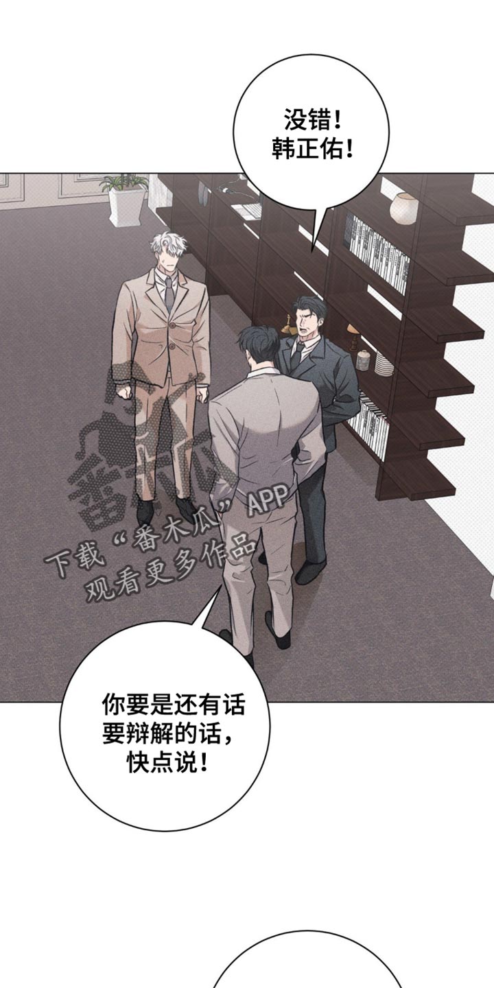 迟来的伴侣