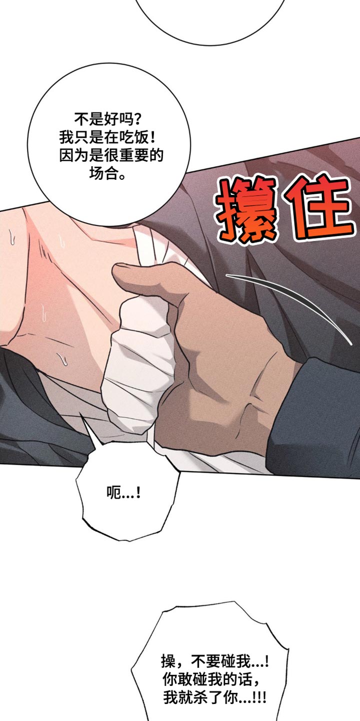 迟来的伴侣
