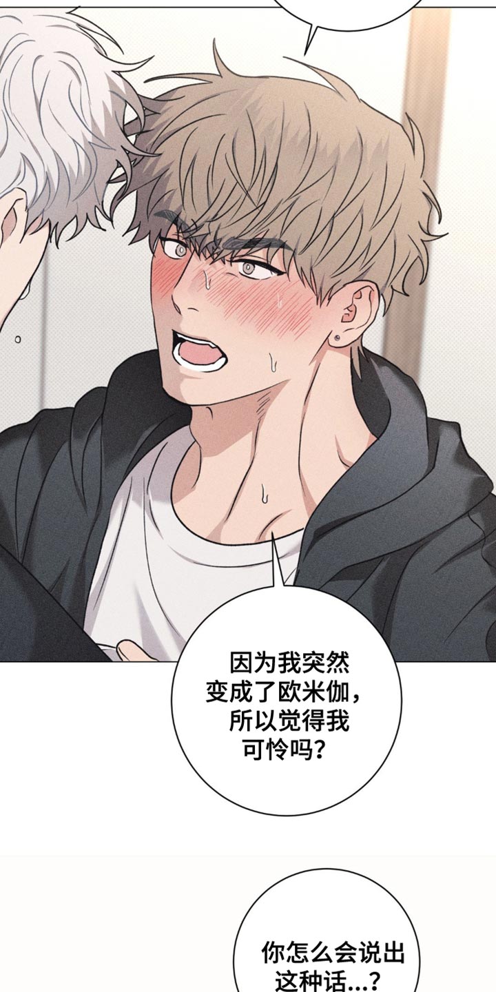 迟来的伴侣