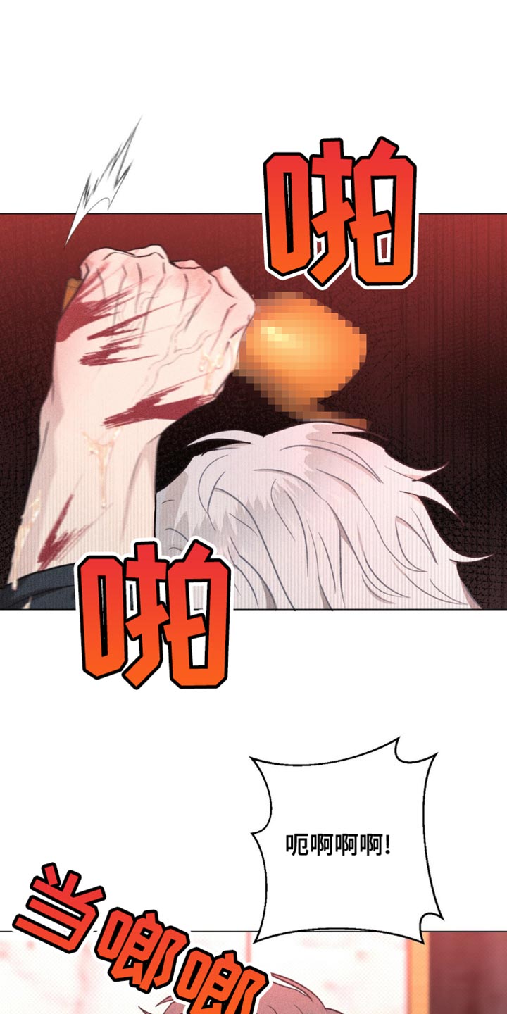 迟来的伴侣
