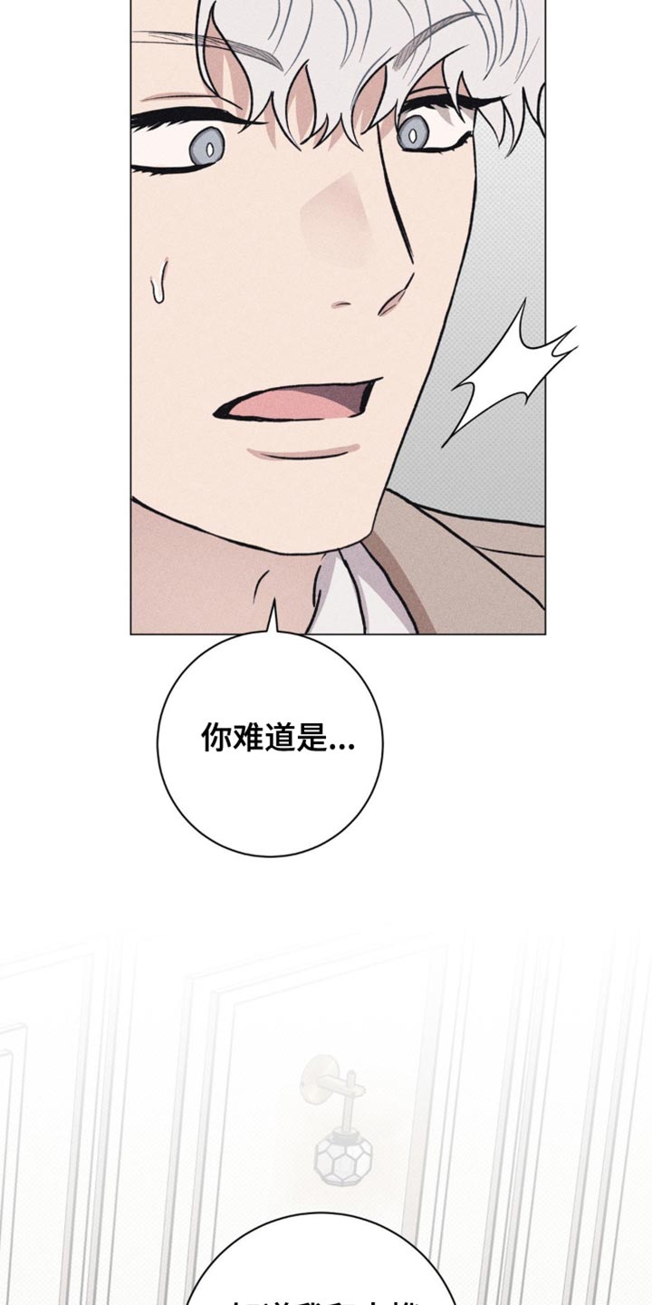 迟来的伴侣