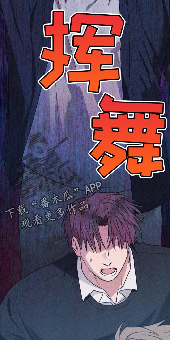 迟来的伴侣