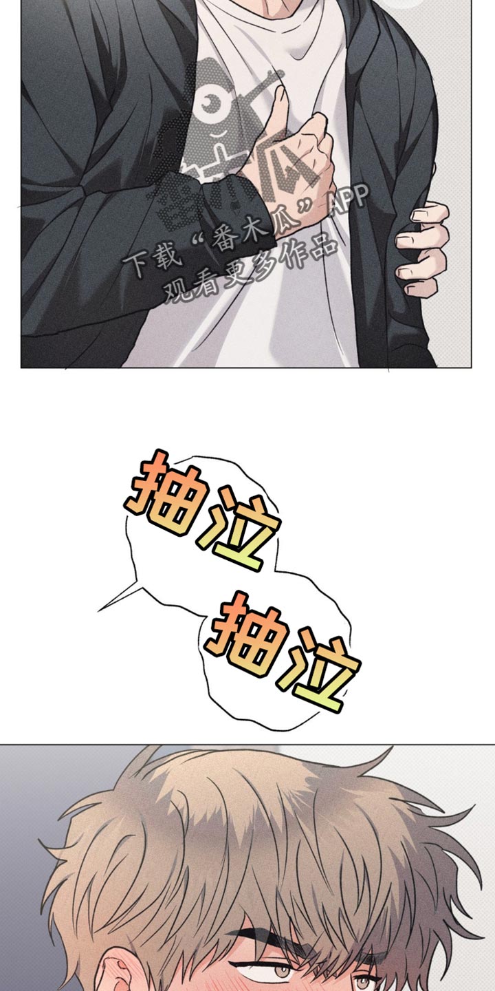 迟来的伴侣