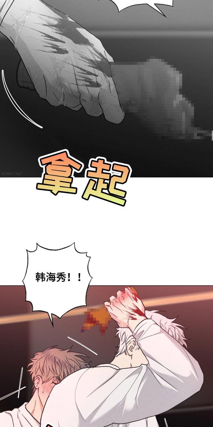 迟来的伴侣