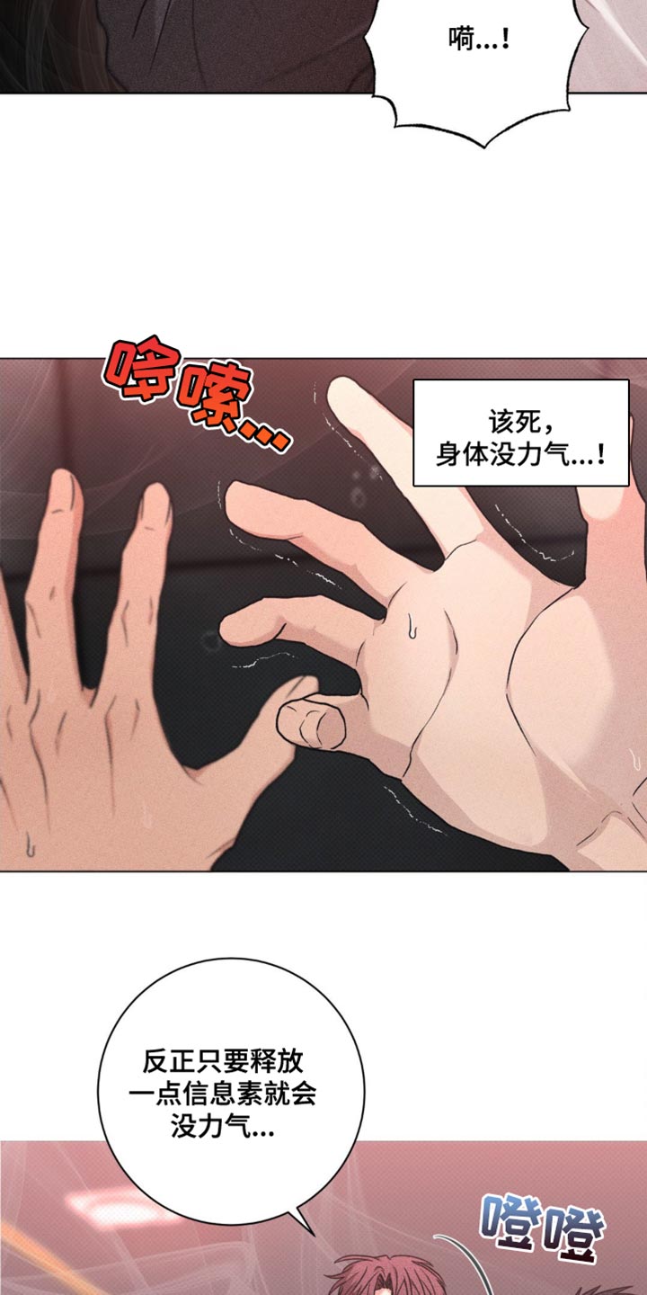 迟来的伴侣
