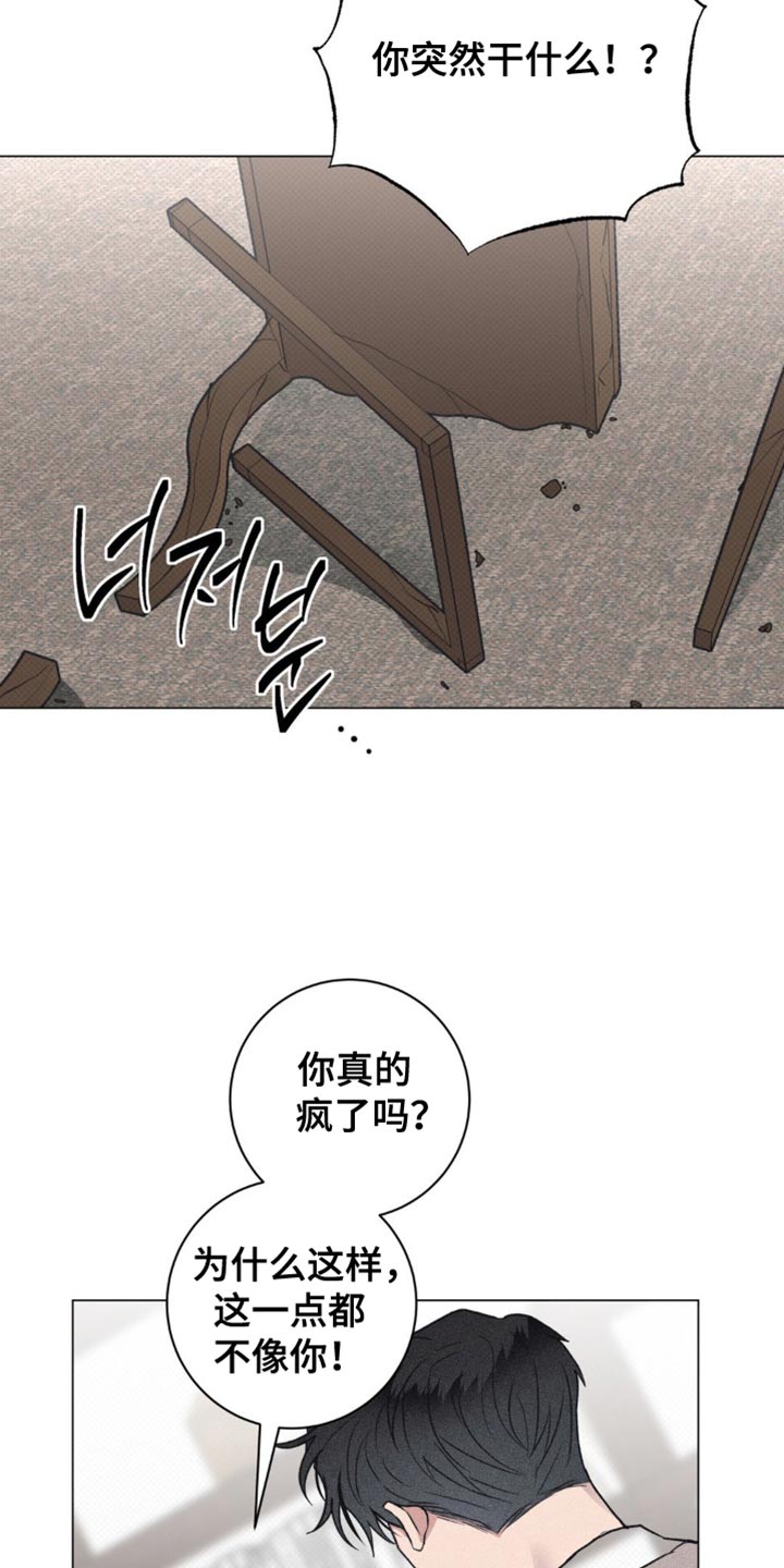 迟来的伴侣