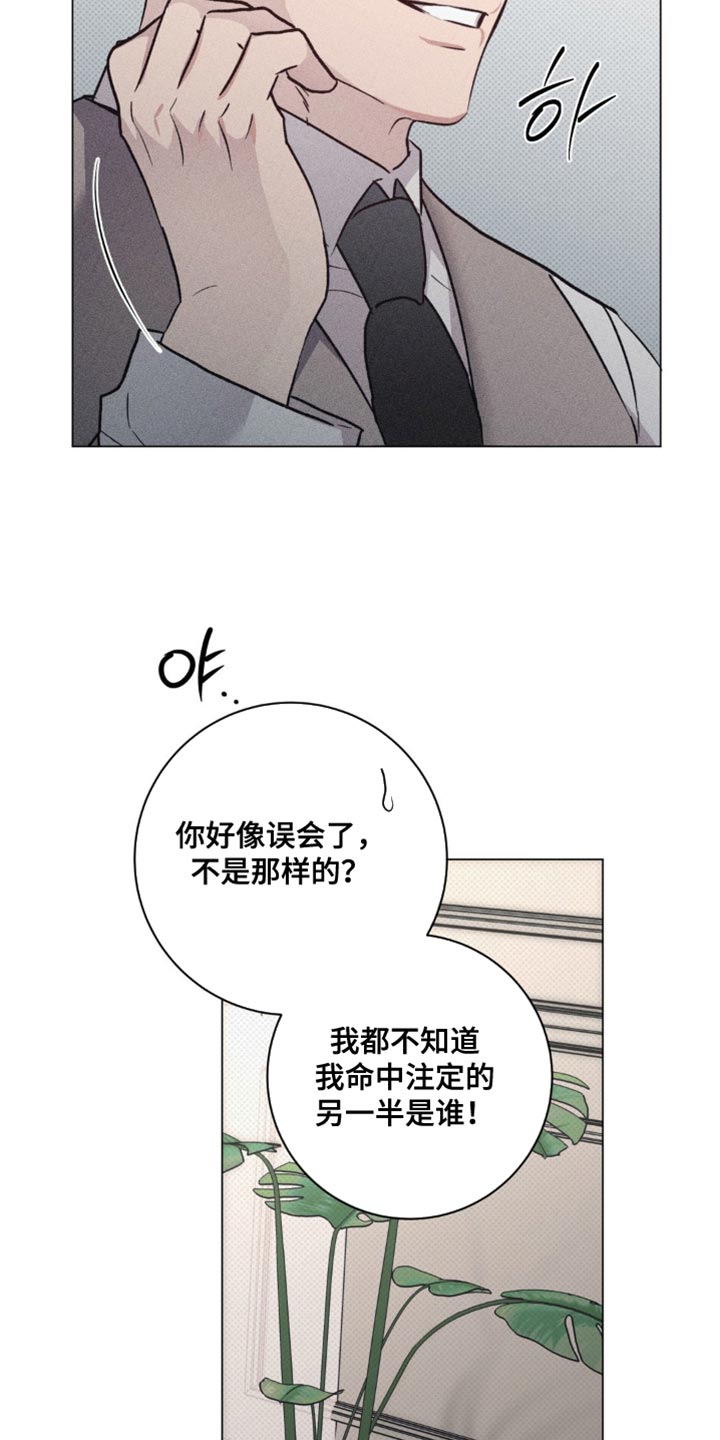 迟来的伴侣