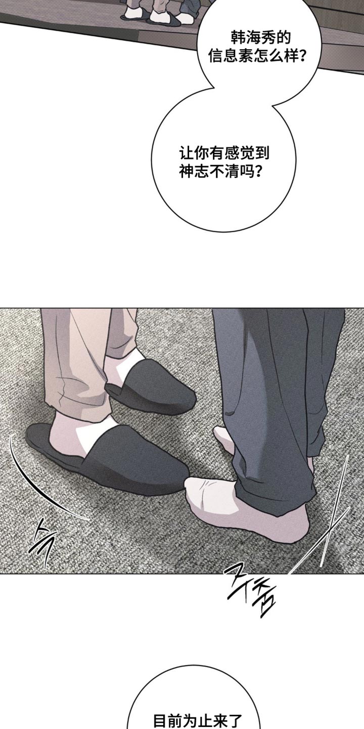 迟来的伴侣