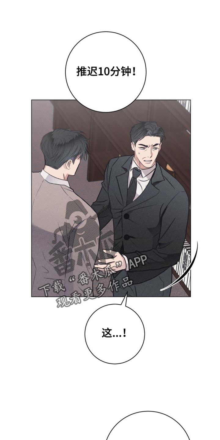 迟来的伴侣