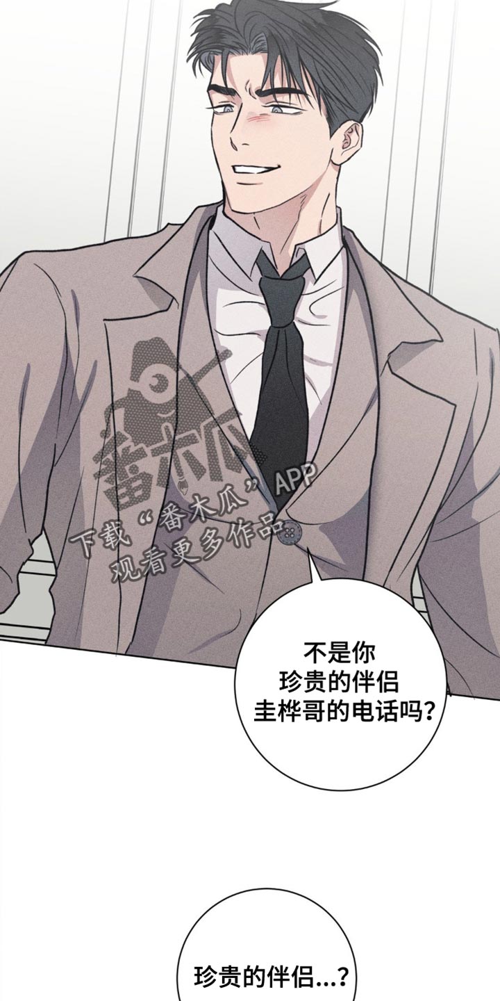迟来的伴侣