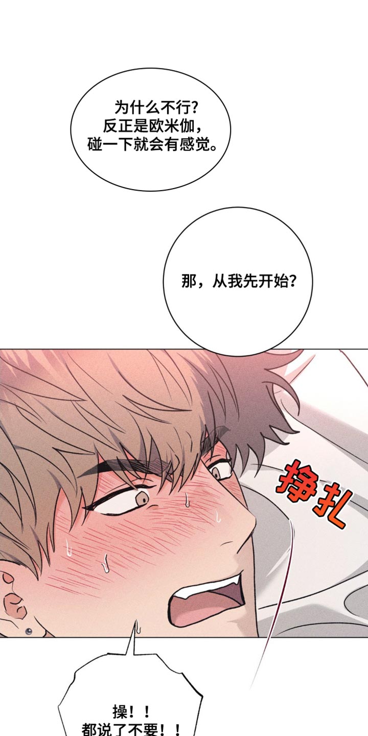 迟来的伴侣