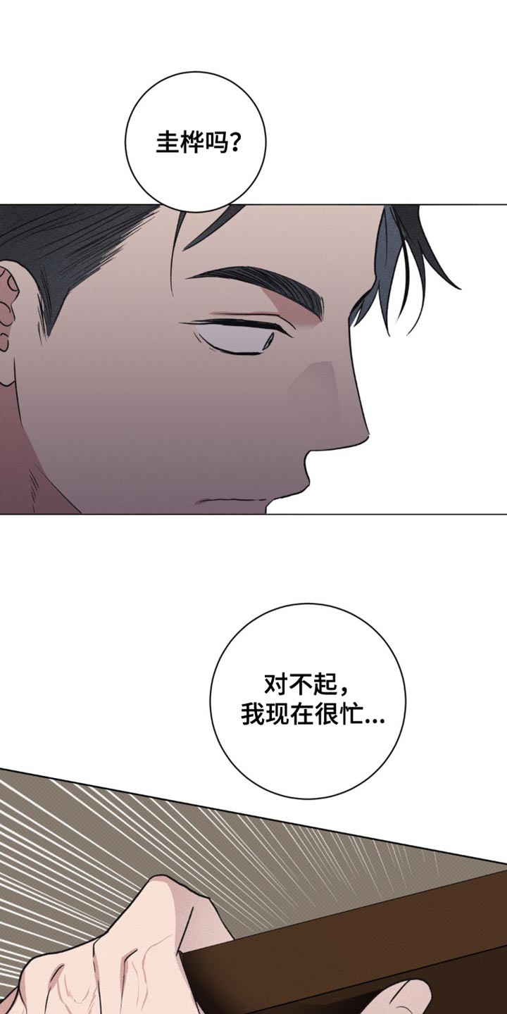迟来的伴侣