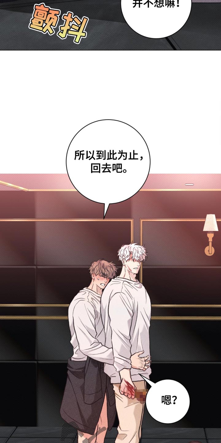 迟来的伴侣