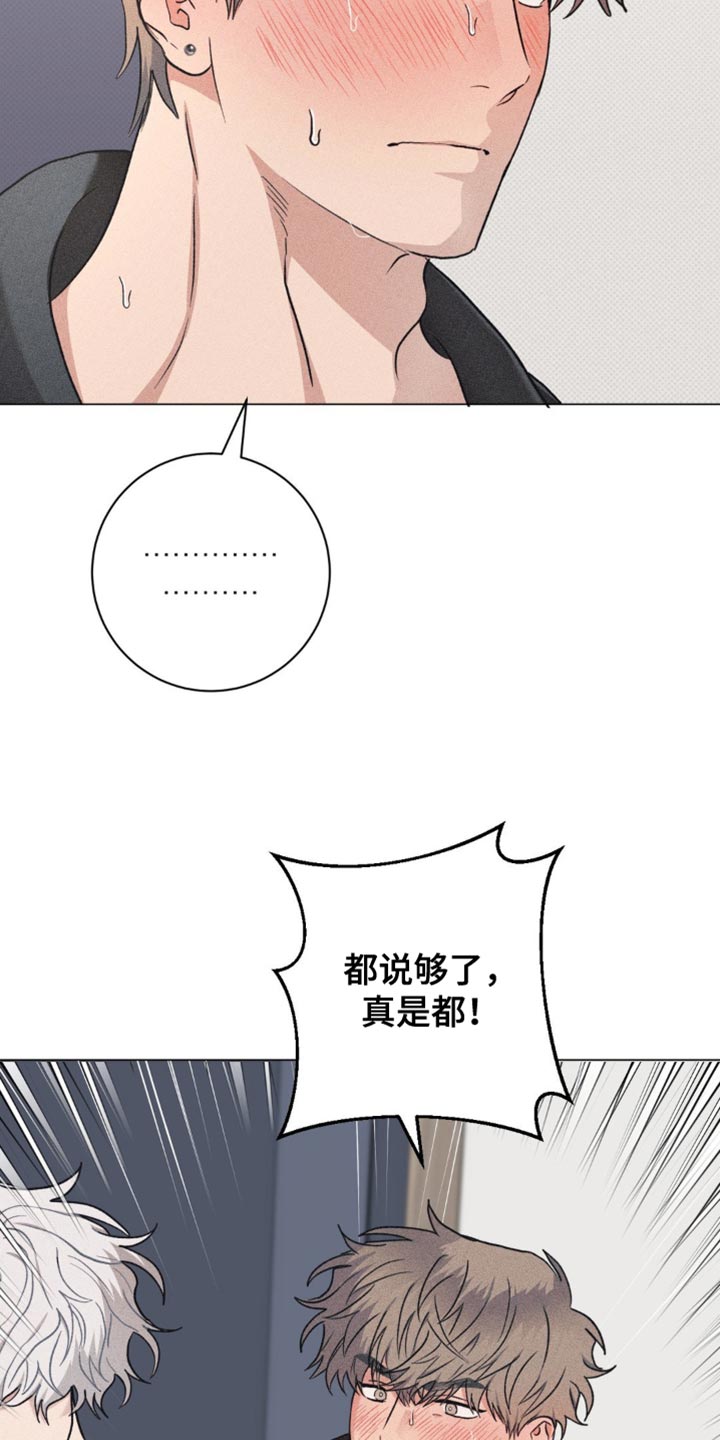 迟来的伴侣