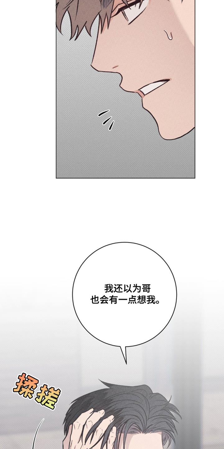 迟来的伴侣