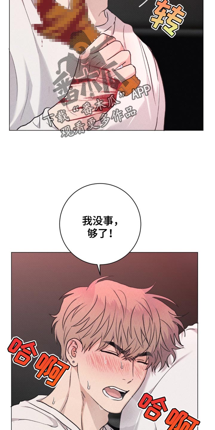 迟来的伴侣