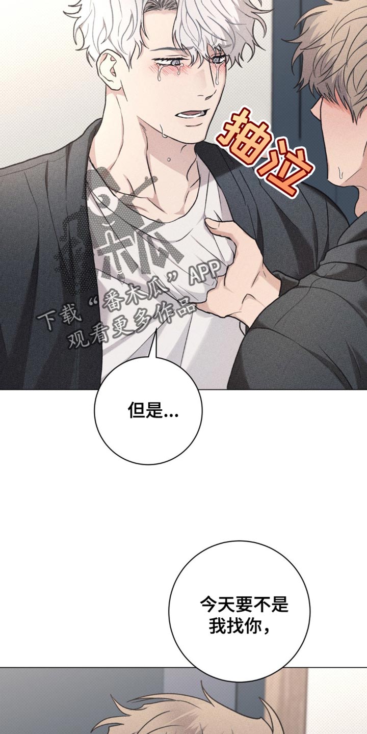 迟来的伴侣