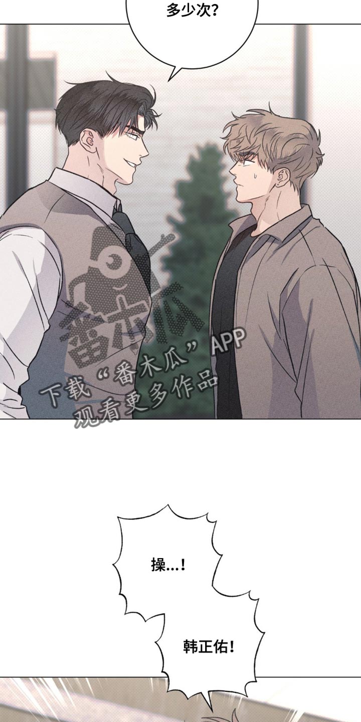 迟来的伴侣