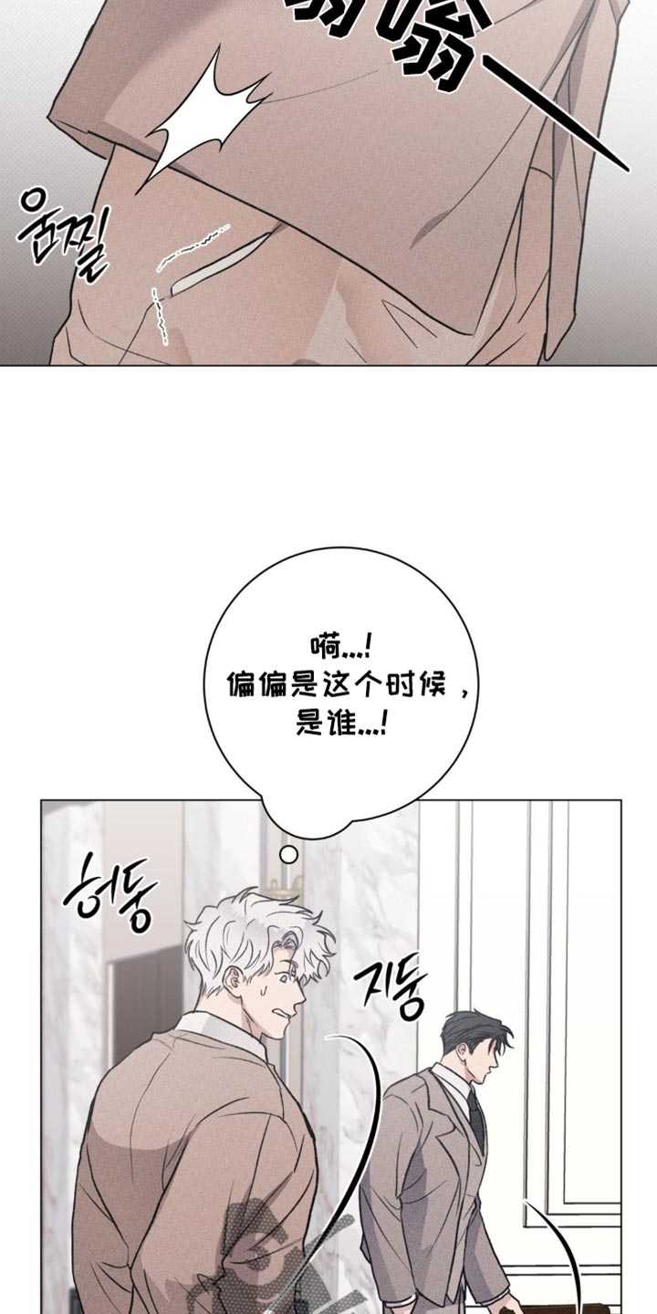 迟来的伴侣
