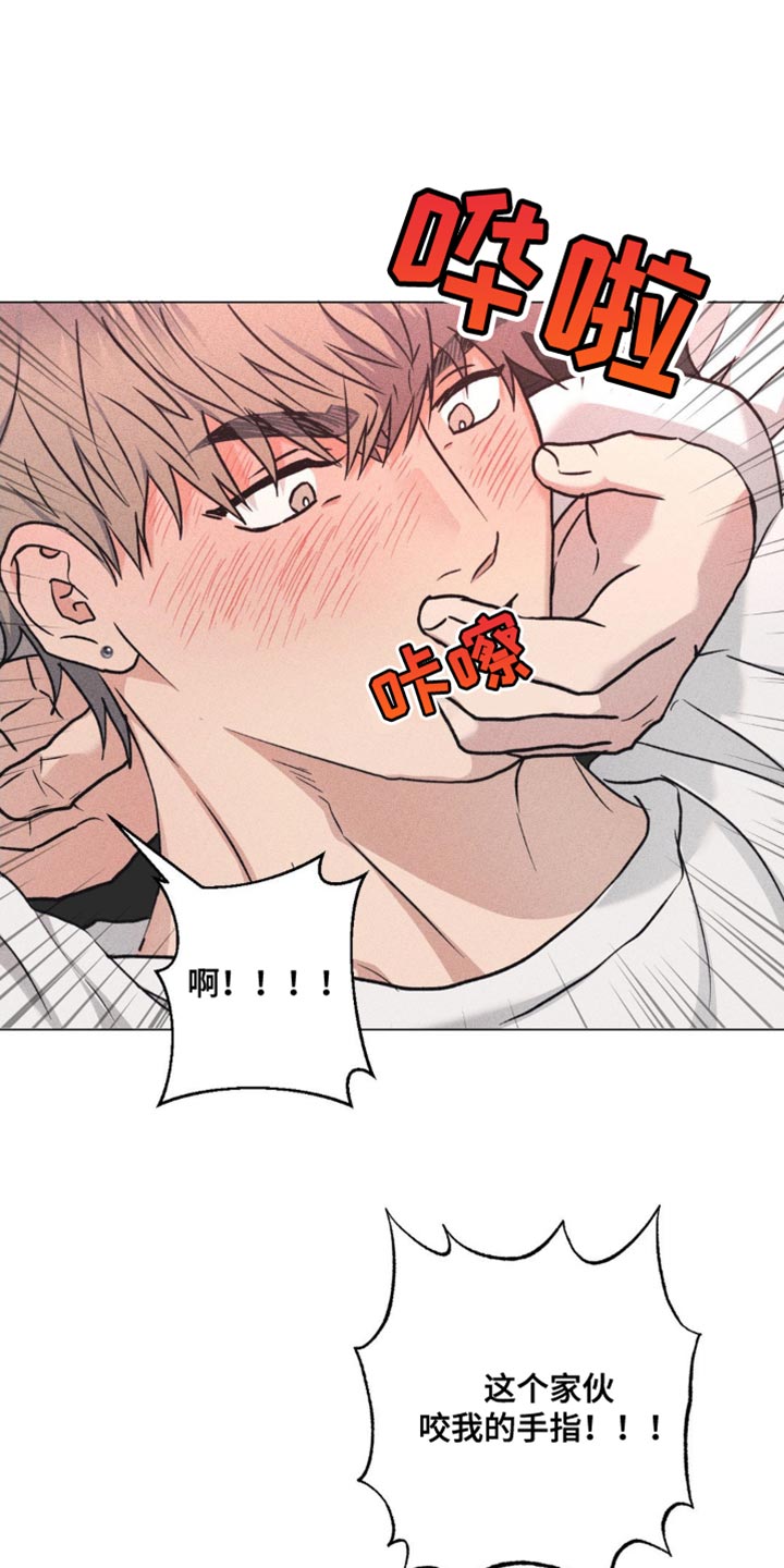 迟来的伴侣
