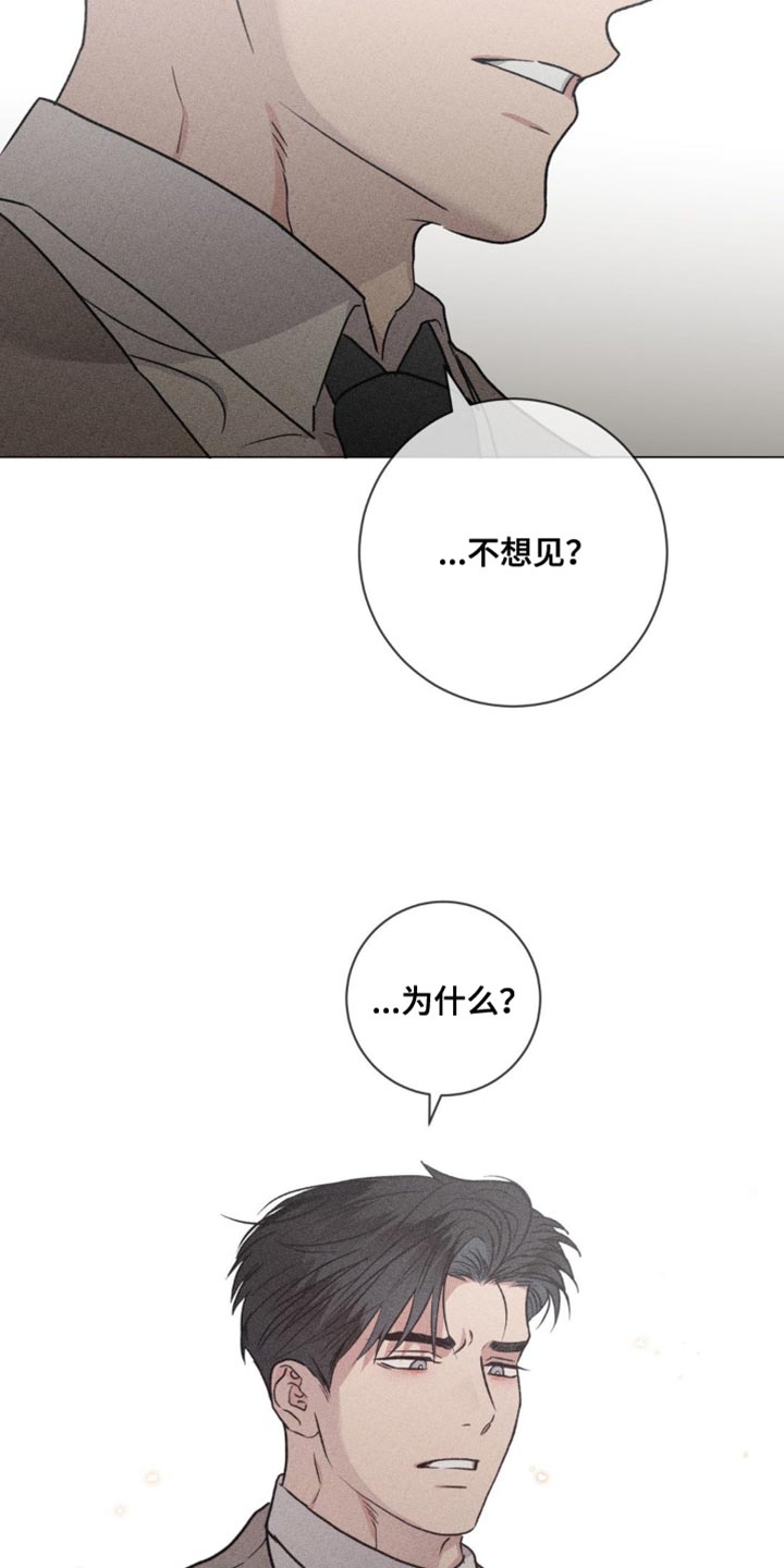 迟来的伴侣