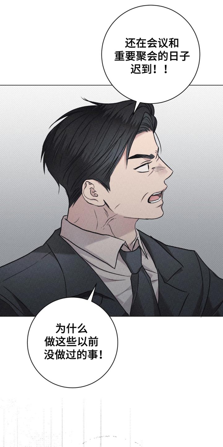 迟来的伴侣