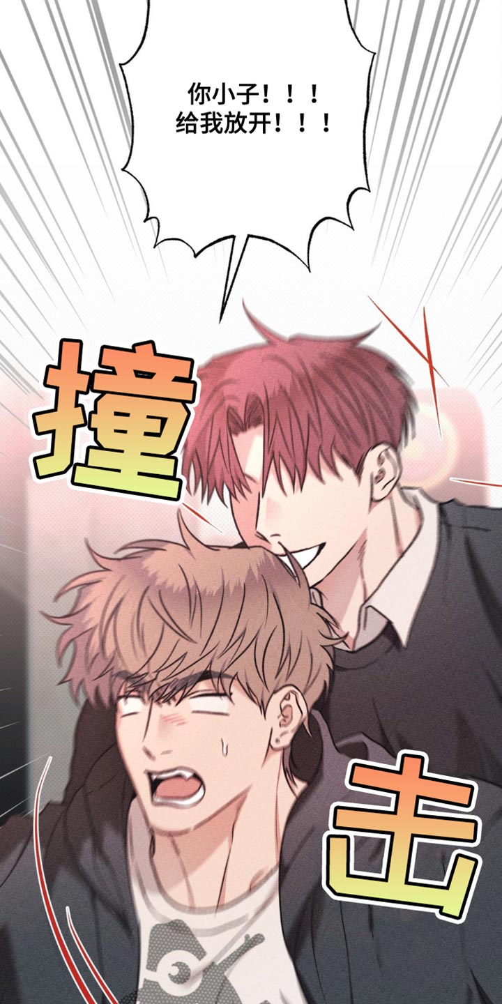 迟来的伴侣