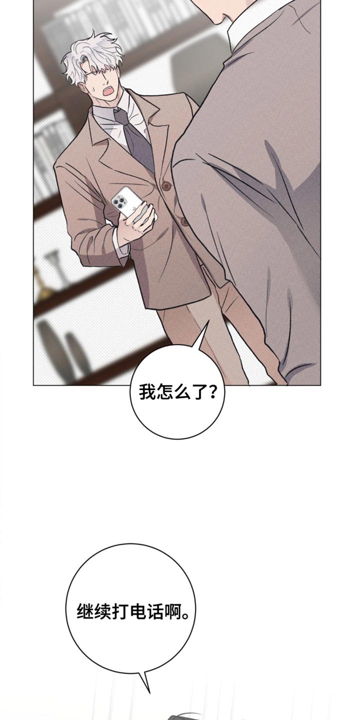 迟来的伴侣
