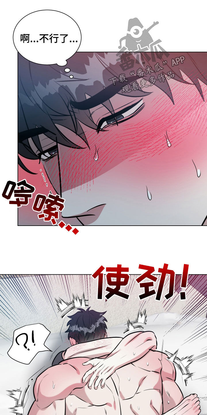 红蛇梦魇