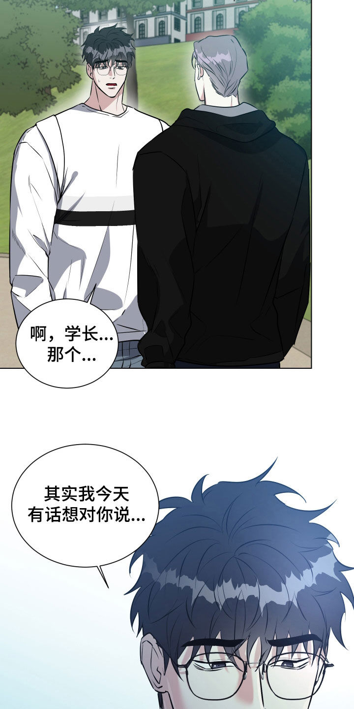 红蛇梦魇
