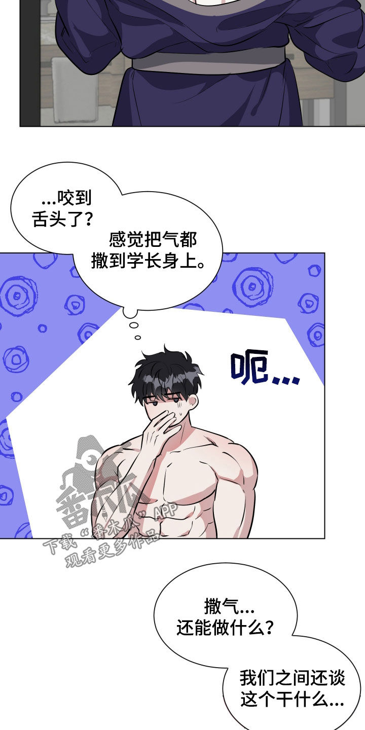 红蛇梦魇