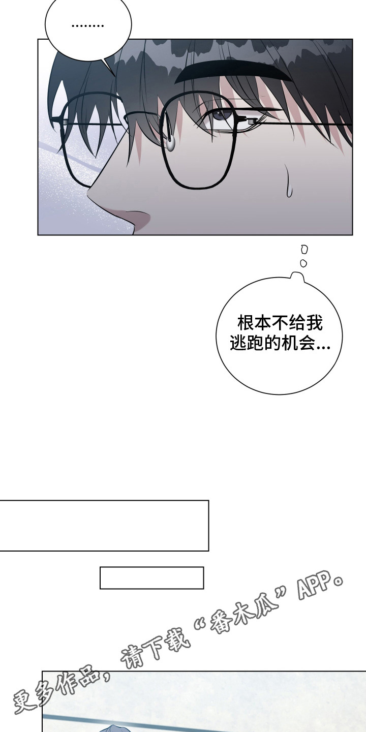 红蛇梦魇