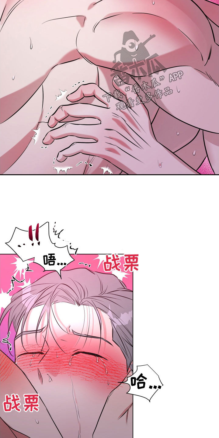 红蛇梦魇