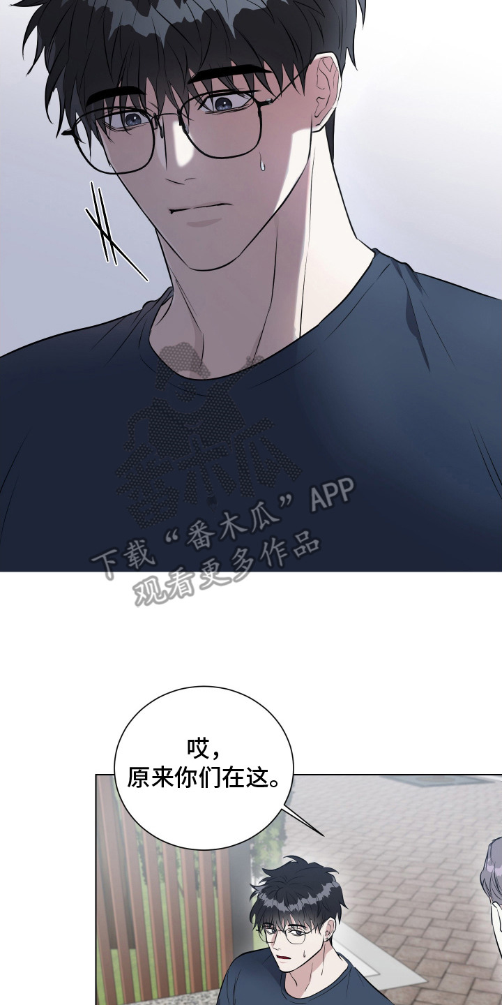 红蛇梦魇
