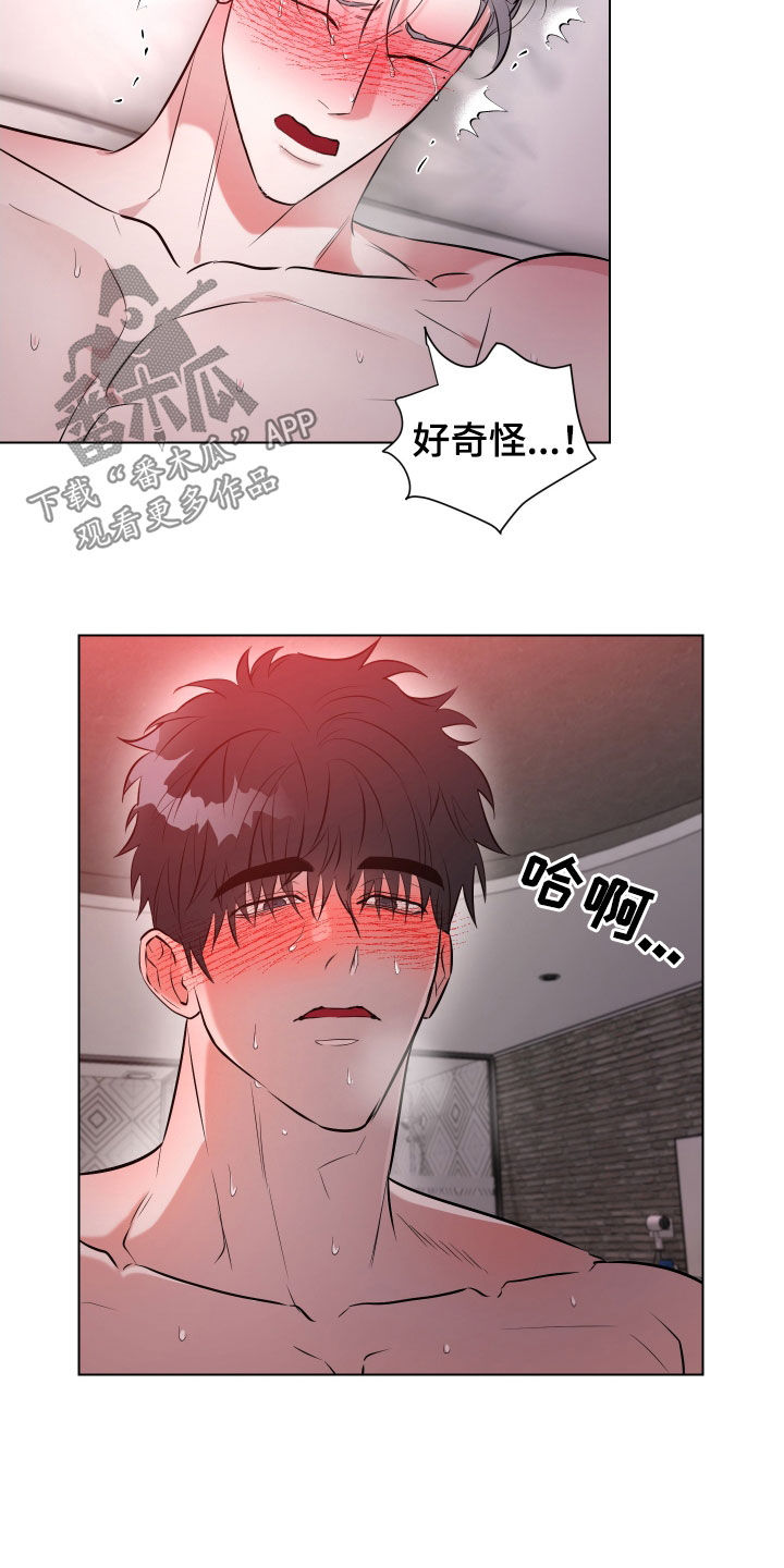红蛇梦魇