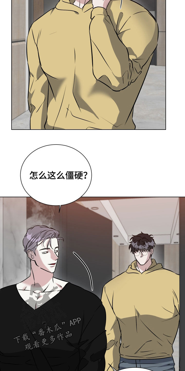 红蛇梦魇