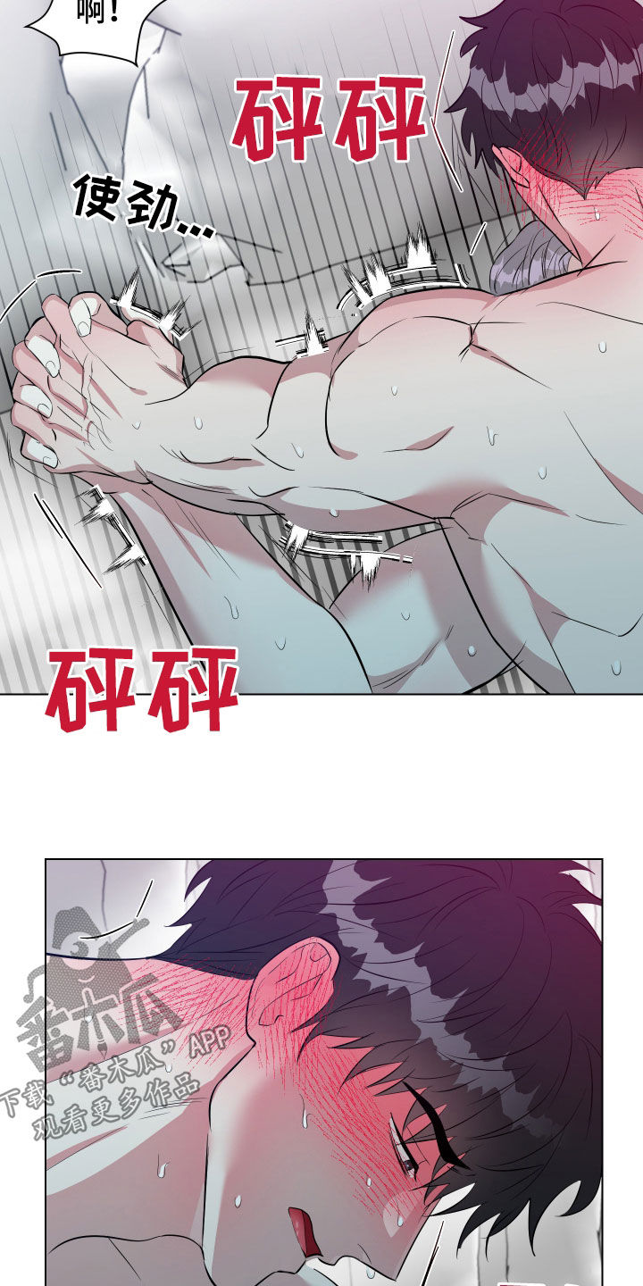 红蛇梦魇