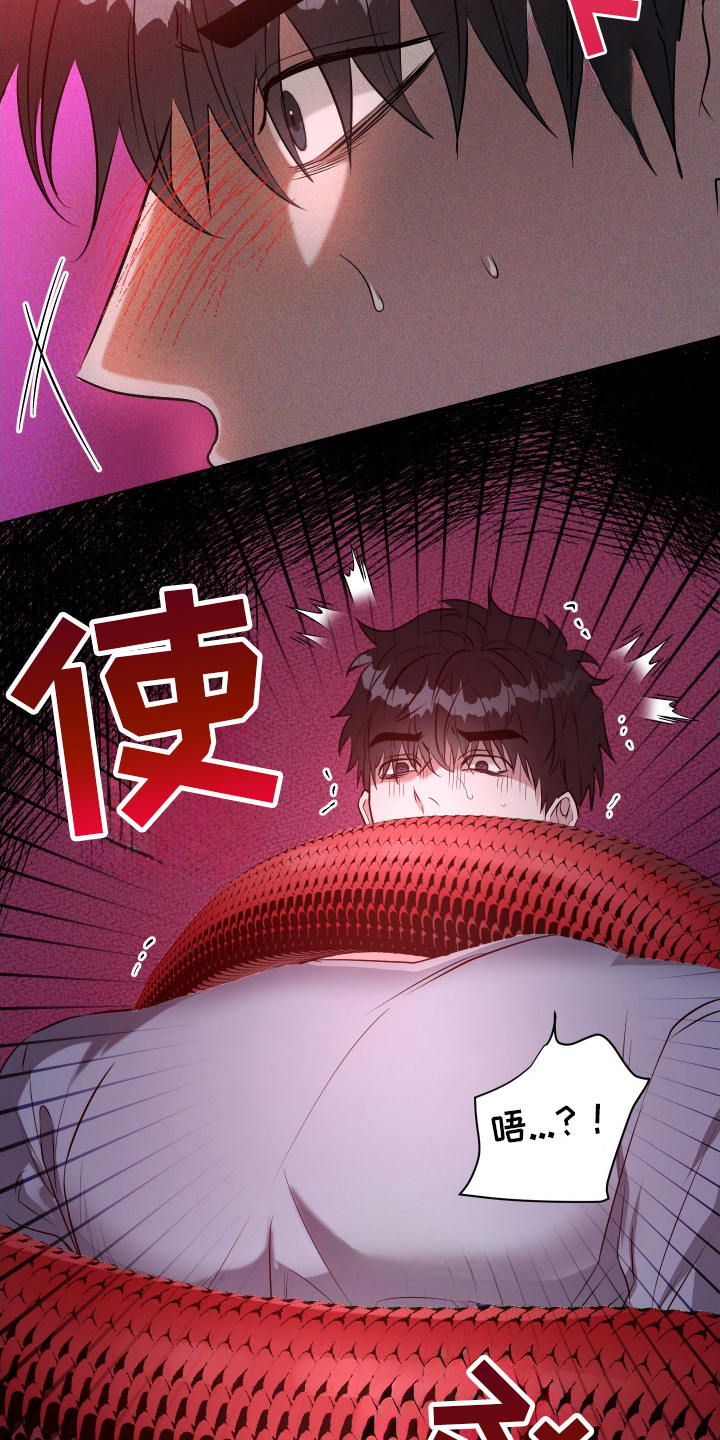 红蛇梦魇