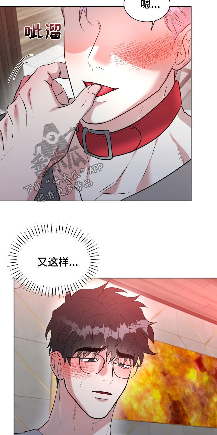 红蛇梦魇