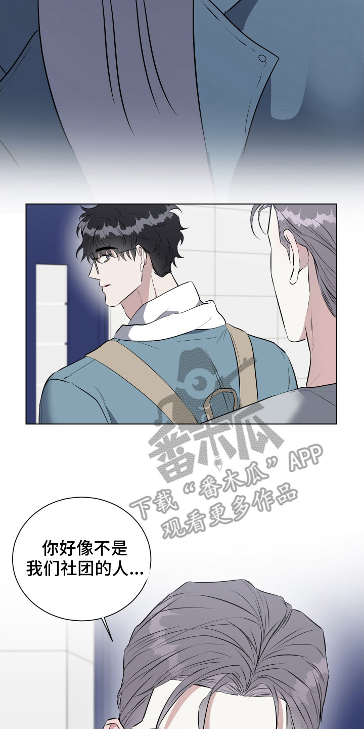 红蛇梦魇