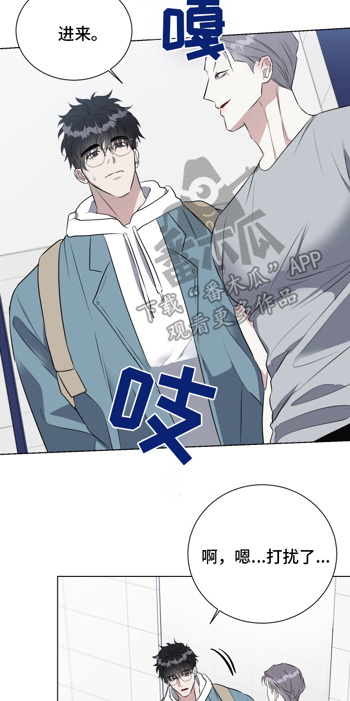 红蛇梦魇