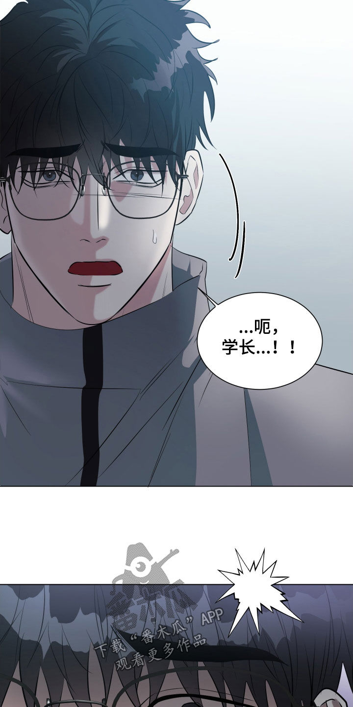 红蛇梦魇