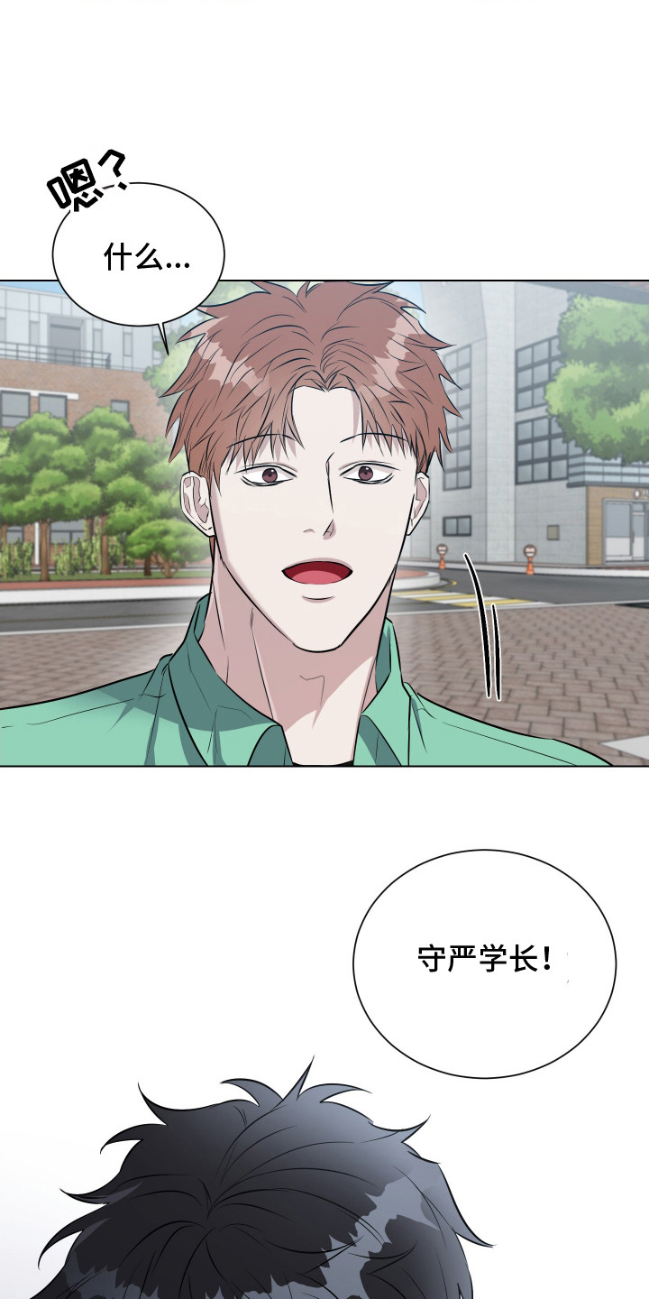 红蛇梦魇