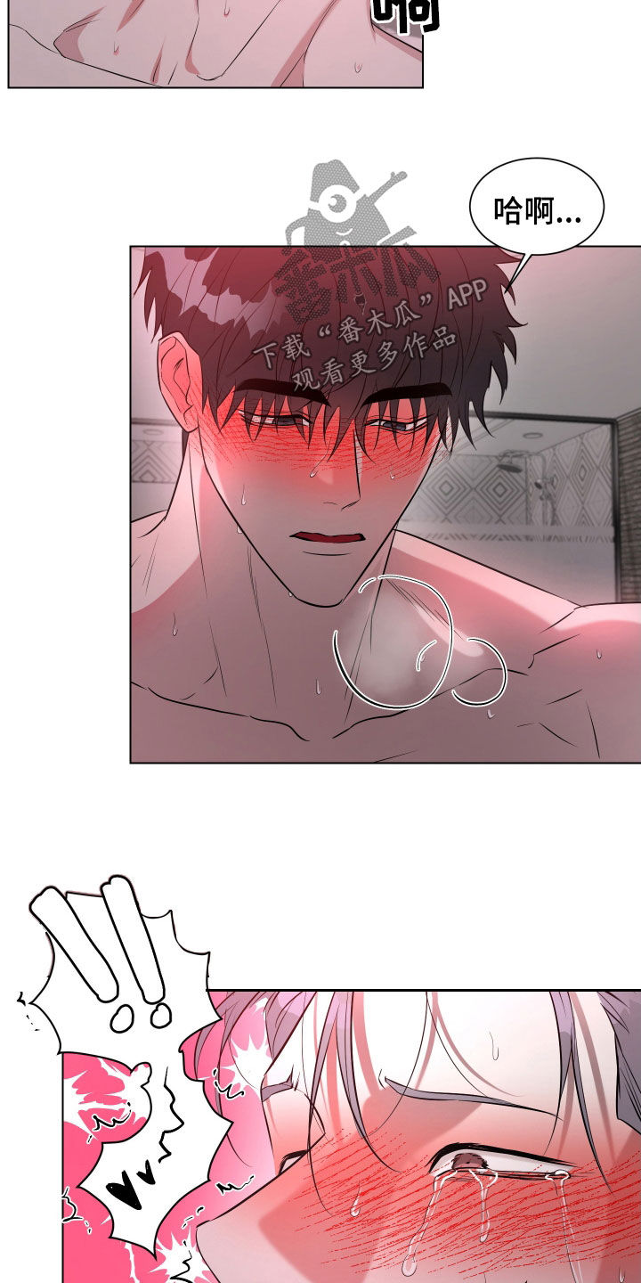 红蛇梦魇