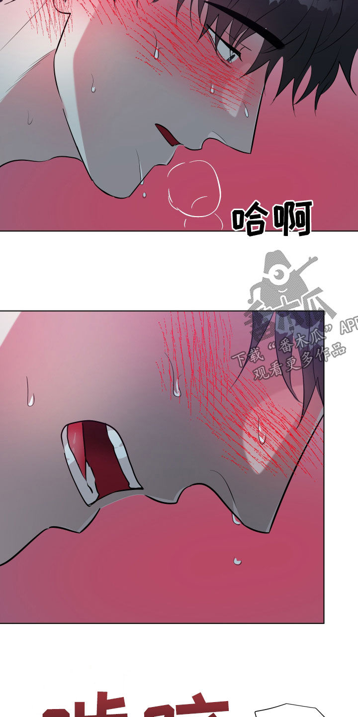红蛇梦魇