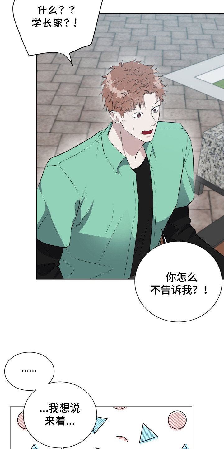 红蛇梦魇