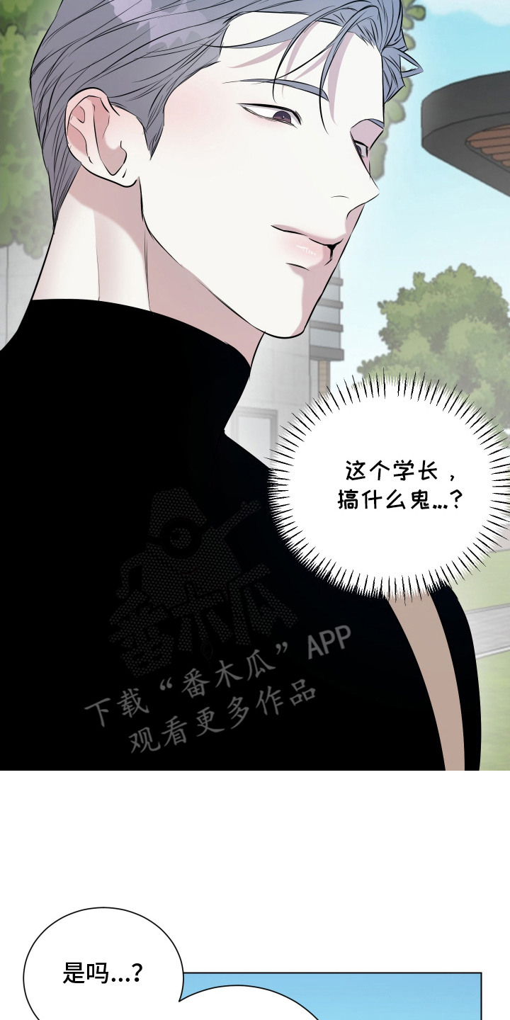 红蛇梦魇